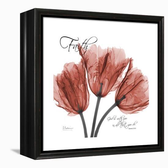 Faith Tulips-Albert Koetsier-Framed Stretched Canvas