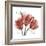 Faith Tulips-Albert Koetsier-Framed Premium Giclee Print