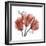 Faith Tulips-Albert Koetsier-Framed Premium Giclee Print
