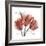 Faith Tulips-Albert Koetsier-Framed Premium Giclee Print