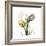 Faith Tulips-Albert Koetsier-Framed Premium Giclee Print