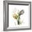 Faith Tulips-Albert Koetsier-Framed Premium Giclee Print