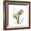 Faith Tulips-Albert Koetsier-Framed Premium Giclee Print