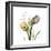 Faith Tulips-Albert Koetsier-Framed Premium Giclee Print