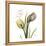 Faith Tulips-Albert Koetsier-Framed Stretched Canvas