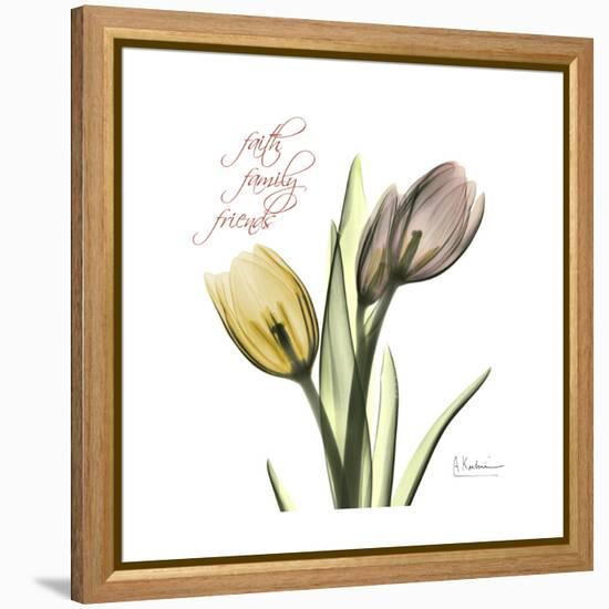 Faith Tulips-Albert Koetsier-Framed Stretched Canvas