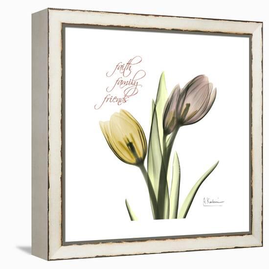 Faith Tulips-Albert Koetsier-Framed Stretched Canvas