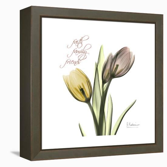 Faith Tulips-Albert Koetsier-Framed Stretched Canvas