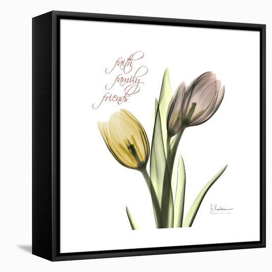 Faith Tulips-Albert Koetsier-Framed Stretched Canvas