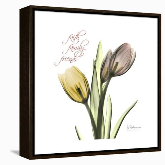 Faith Tulips-Albert Koetsier-Framed Stretched Canvas