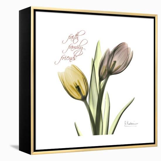 Faith Tulips-Albert Koetsier-Framed Stretched Canvas