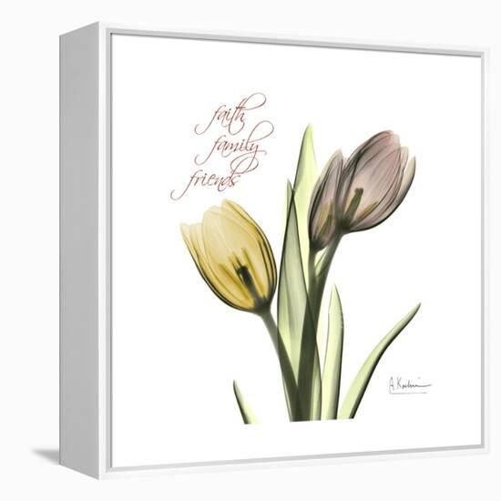 Faith Tulips-Albert Koetsier-Framed Stretched Canvas