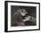 Faithful and True-Charles Burton Barber-Framed Giclee Print