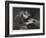 Faithful and True-Charles Burton Barber-Framed Giclee Print