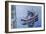 Faithful Companion-Bruce Dumas-Framed Giclee Print