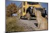 Faithful Dog Watching Boy Enter School Bus-William P. Gottlieb-Mounted Photographic Print