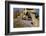 Faithful Dog Watching Boy Enter School Bus-William P. Gottlieb-Framed Photographic Print