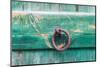 Faiyum, Egypt. Iron ring on a green painted wooden gate.-Emily Wilson-Mounted Photographic Print