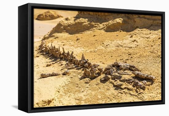 Faiyum, Egypt. Whale fossil on an eroded bluff at Wadi el-Hitan paleontological site.-Emily Wilson-Framed Premier Image Canvas