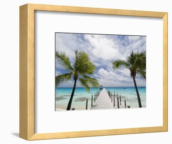 Fakarawa, Tuamotu Archipelago, French Polynesia Islands-Sergio Pitamitz-Framed Photographic Print