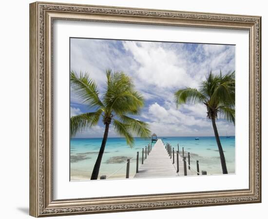 Fakarawa, Tuamotu Archipelago, French Polynesia Islands-Sergio Pitamitz-Framed Photographic Print