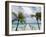 Fakarawa, Tuamotu Archipelago, French Polynesia Islands-Sergio Pitamitz-Framed Photographic Print