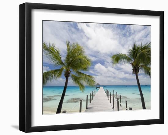 Fakarawa, Tuamotu Archipelago, French Polynesia Islands-Sergio Pitamitz-Framed Photographic Print