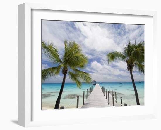 Fakarawa, Tuamotu Archipelago, French Polynesia Islands-Sergio Pitamitz-Framed Photographic Print