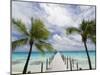 Fakarawa, Tuamotu Archipelago, French Polynesia Islands-Sergio Pitamitz-Mounted Photographic Print