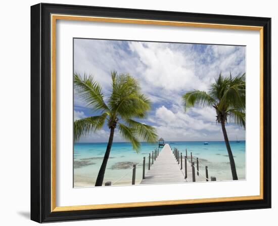 Fakarawa, Tuamotu Archipelago, French Polynesia Islands-Sergio Pitamitz-Framed Photographic Print