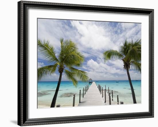 Fakarawa, Tuamotu Archipelago, French Polynesia Islands-Sergio Pitamitz-Framed Photographic Print