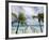 Fakarawa, Tuamotu Archipelago, French Polynesia Islands-Sergio Pitamitz-Framed Photographic Print