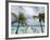 Fakarawa, Tuamotu Archipelago, French Polynesia Islands-Sergio Pitamitz-Framed Photographic Print