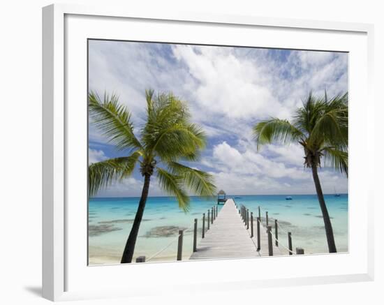 Fakarawa, Tuamotu Archipelago, French Polynesia Islands-Sergio Pitamitz-Framed Photographic Print