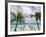 Fakarawa, Tuamotu Archipelago, French Polynesia Islands-Sergio Pitamitz-Framed Photographic Print