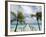 Fakarawa, Tuamotu Archipelago, French Polynesia Islands-Sergio Pitamitz-Framed Photographic Print