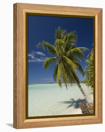 Fakarawa, Tuamotu Archipelago, French Polynesia, Pacific Islands, Pacific-Sergio Pitamitz-Framed Premier Image Canvas