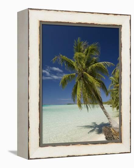 Fakarawa, Tuamotu Archipelago, French Polynesia, Pacific Islands, Pacific-Sergio Pitamitz-Framed Premier Image Canvas