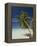 Fakarawa, Tuamotu Archipelago, French Polynesia, Pacific Islands, Pacific-Sergio Pitamitz-Framed Premier Image Canvas