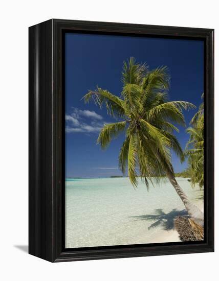 Fakarawa, Tuamotu Archipelago, French Polynesia, Pacific Islands, Pacific-Sergio Pitamitz-Framed Premier Image Canvas