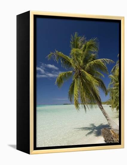 Fakarawa, Tuamotu Archipelago, French Polynesia, Pacific Islands, Pacific-Sergio Pitamitz-Framed Premier Image Canvas