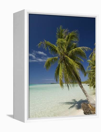 Fakarawa, Tuamotu Archipelago, French Polynesia, Pacific Islands, Pacific-Sergio Pitamitz-Framed Premier Image Canvas