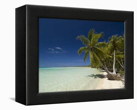 Fakarawa, Tuamotu Archipelago, French Polynesia, Pacific Islands, Pacific-Sergio Pitamitz-Framed Premier Image Canvas