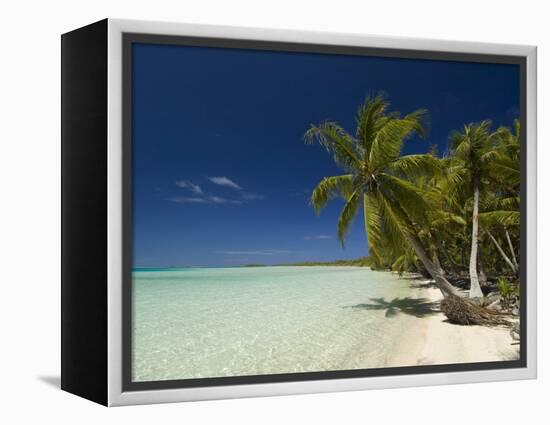 Fakarawa, Tuamotu Archipelago, French Polynesia, Pacific Islands, Pacific-Sergio Pitamitz-Framed Premier Image Canvas