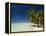 Fakarawa, Tuamotu Archipelago, French Polynesia, Pacific Islands, Pacific-Sergio Pitamitz-Framed Premier Image Canvas