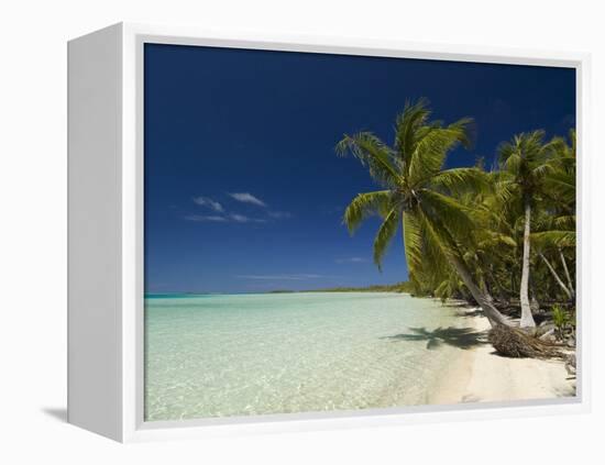 Fakarawa, Tuamotu Archipelago, French Polynesia, Pacific Islands, Pacific-Sergio Pitamitz-Framed Premier Image Canvas