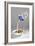 Fake Milk Carton and Bowl, from a Joke Shop-null-Framed Giclee Print