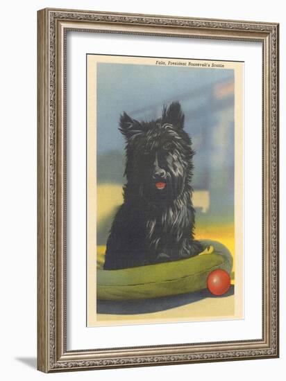 Fala, Roosevelt's Scottie Dog-null-Framed Art Print