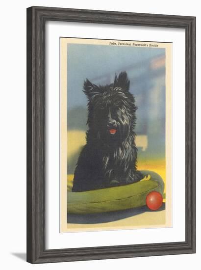 Fala, Roosevelt's Scottie Dog-null-Framed Art Print