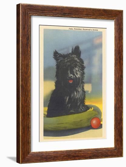 Fala, Roosevelt's Scottie Dog-null-Framed Art Print